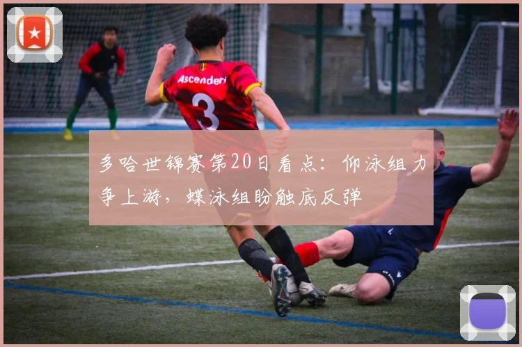 多哈世锦赛第20日看点：仰泳组力争上游，蝶泳组盼触底反弹
