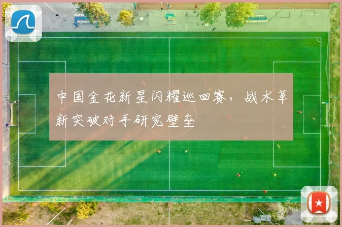 中国金花新星闪耀巡回赛，战术革新突破对手研究壁垒