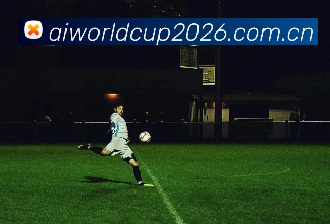 2026世界杯国际认证